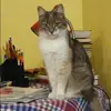 Отзыв от Галина Мухина